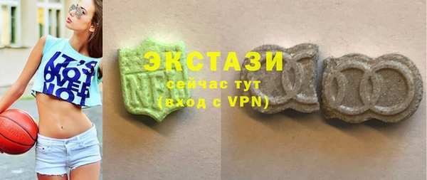 стаф Арсеньев