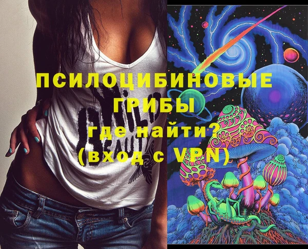 шишки Аркадак