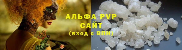 стаф Арсеньев