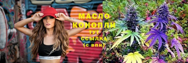 стаф Арсеньев