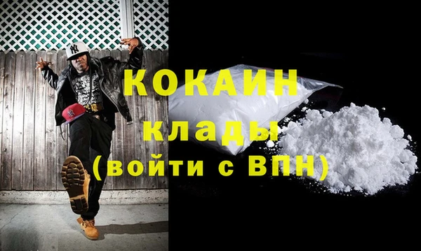 шишки Аркадак