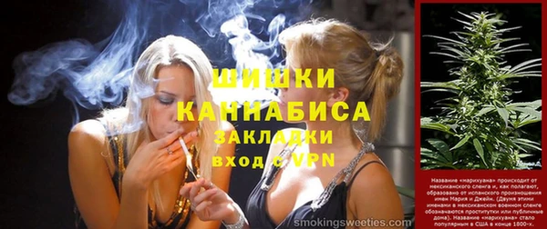 стаф Арсеньев