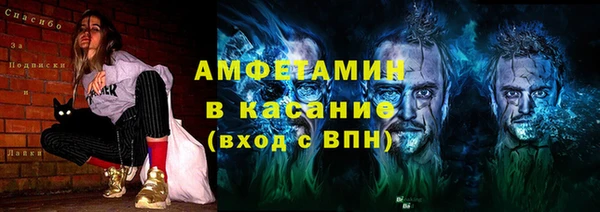 шишки Аркадак