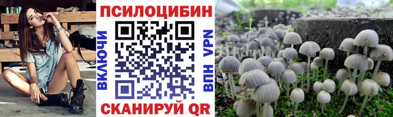 Псилоцибиновые грибы Psilocybine cubensis Ивантеевка